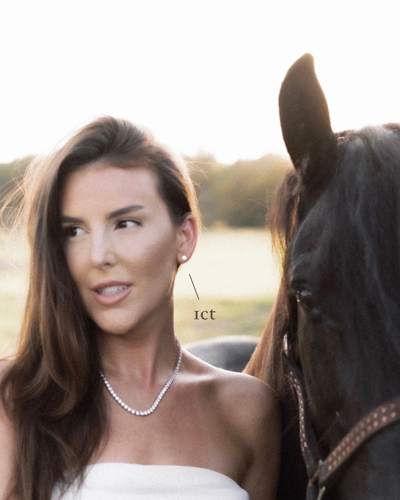 14k gold Classic Diamond Studs - Always Coco Fine